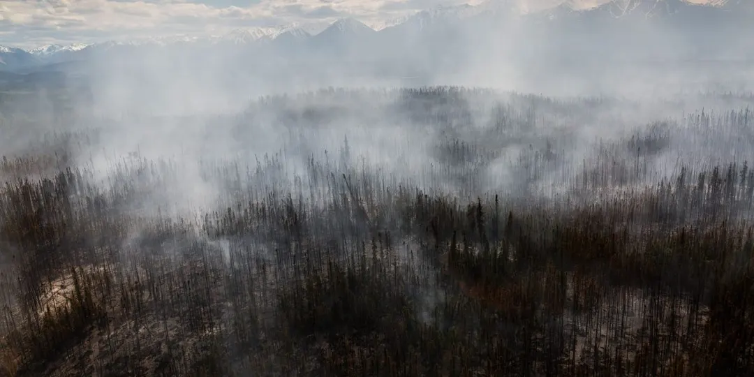 Researchers probe fire interventions to protect Arctic permafrost