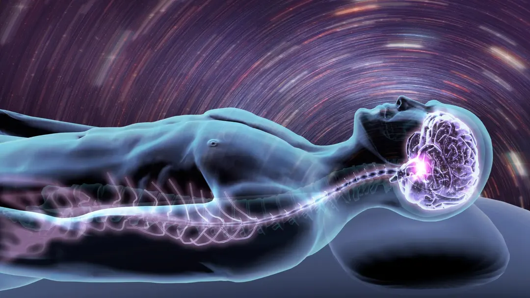 Brain immune cells, not plaques, drive Alzheimer's sleep loss