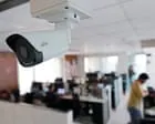 Australia urged to strengthen workplace privacy as employers turn to AI monitoring