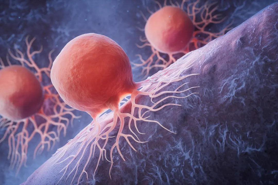 Activating PPARD in CAR T Cells Slowed Tumor Growth