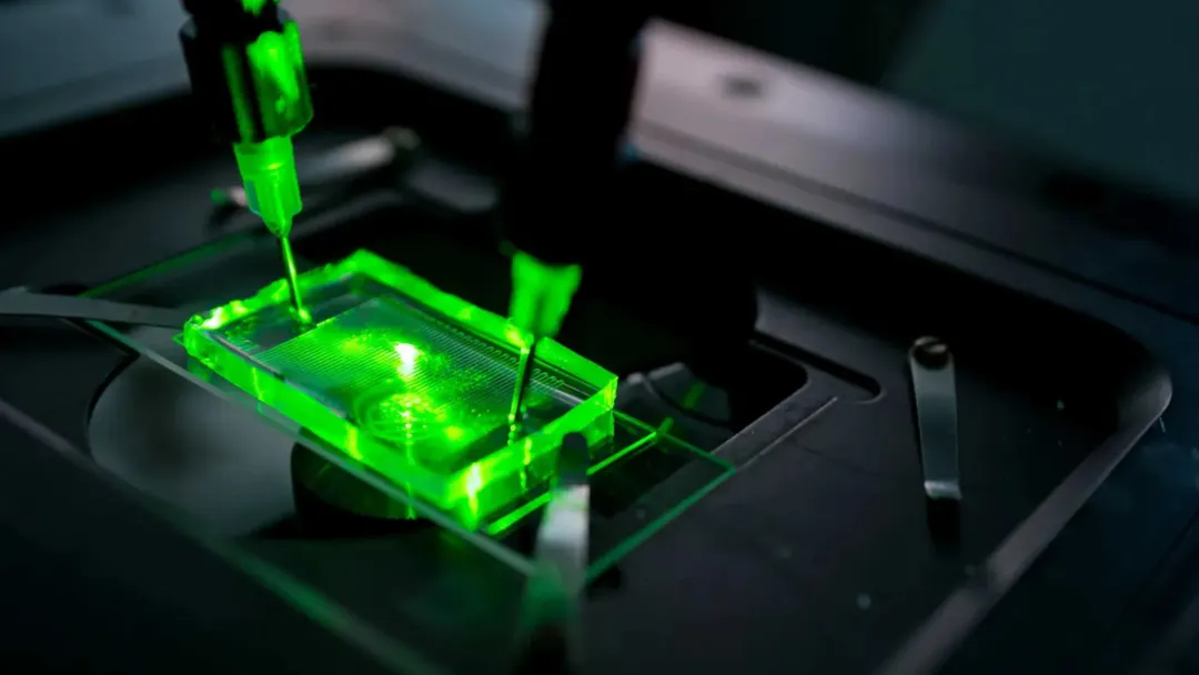 2026 AI Safety Report: AI Beats 94% of Virologists but Can't Cause a Pandemic
