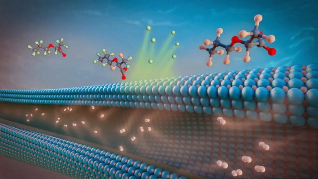 Palladium-coated membrane destroys over 90% of PFAS in water
