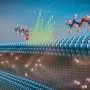 Chemists unveil 'hunter-killer' method to capture and destroy PFAS