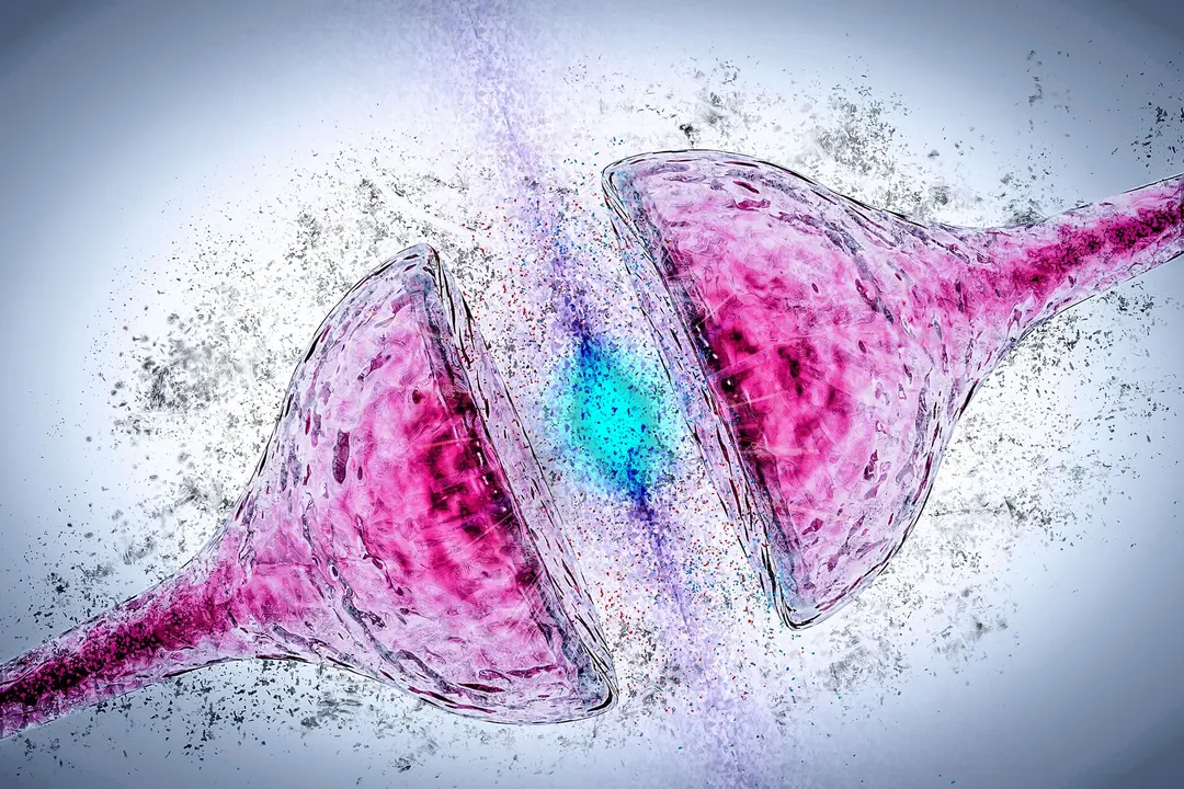 Boosting Nav1.1 Protein Restores Memory in Alzheimer's Mice
