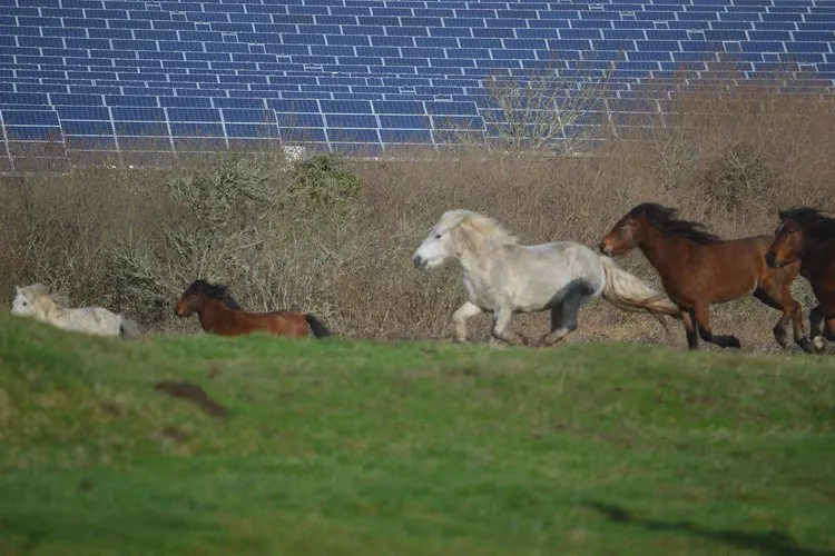 1GW data center proposed alongside 1.3GW solar farm in Norfolk, UK