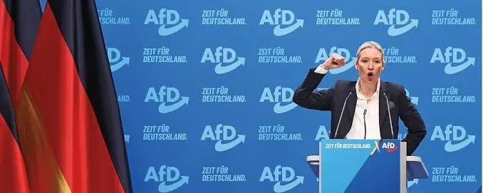 AfD email breach: anonymous site posts AI summaries of 421,000 messages