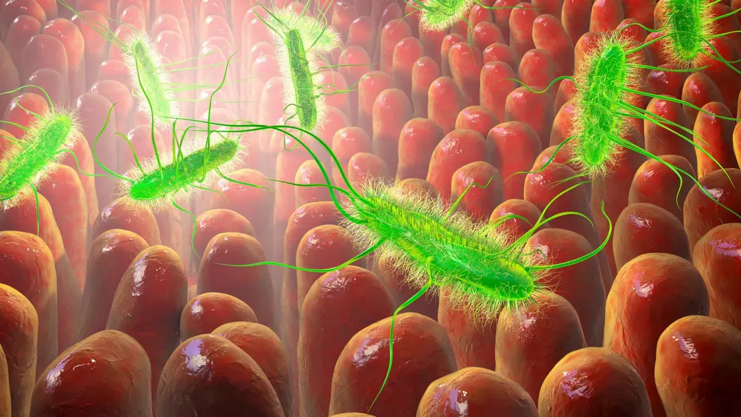Argyrin B kills C. difficile while sparing the gut microbiome