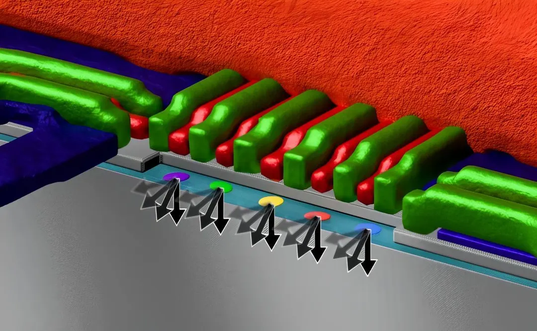 RIKEN runs five silicon spin qubits on one microwave line at fault-tolerant fidelity