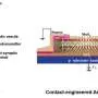 Single transistor combines memory and signal processing for brain-inspired computing