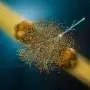 Oxygen collisions show evidence of quark-gluon plasma