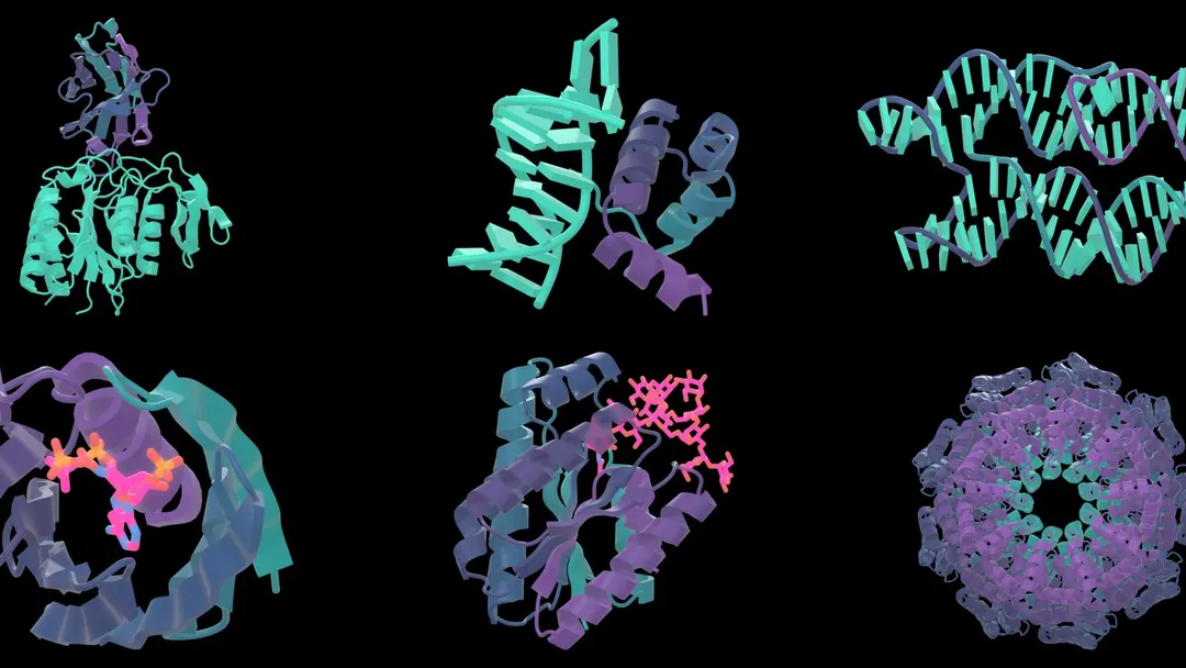 NVIDIA debuts open protein design model RFD4-Proteina with UW Medicine