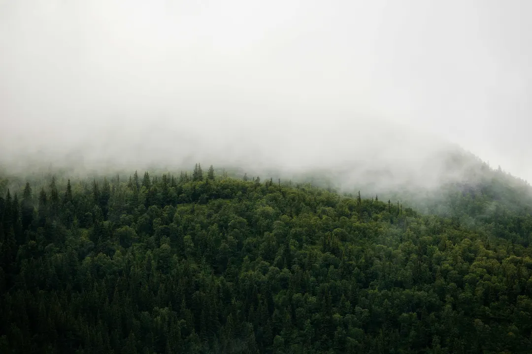 Berget AI releases open method to calculate CO2 emissions of AI requests