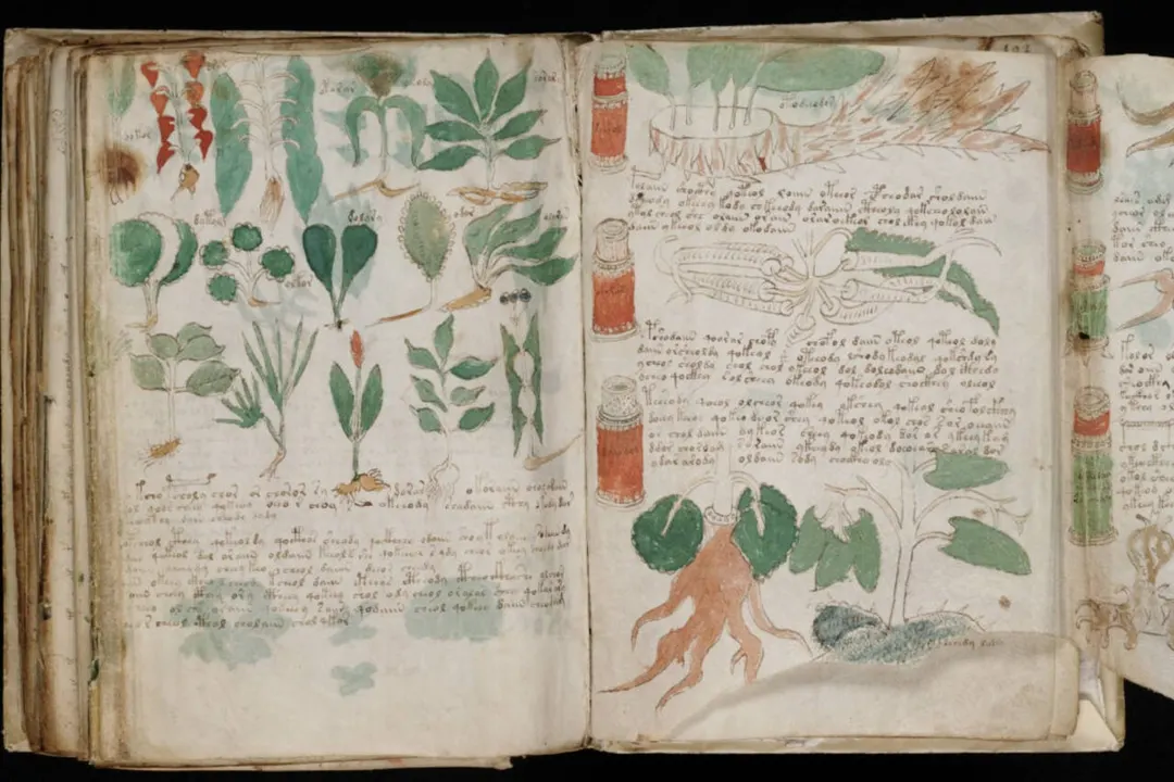 Voynich Manuscript pages were likely bound out of order, study says
