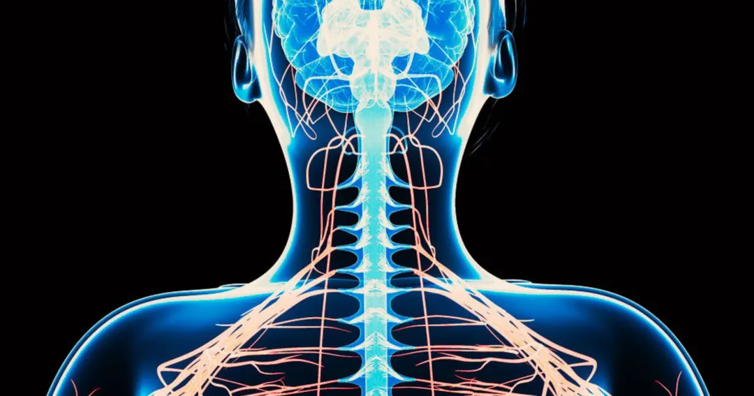 Surgeon claims world-first spinal cord transplant in Moscow