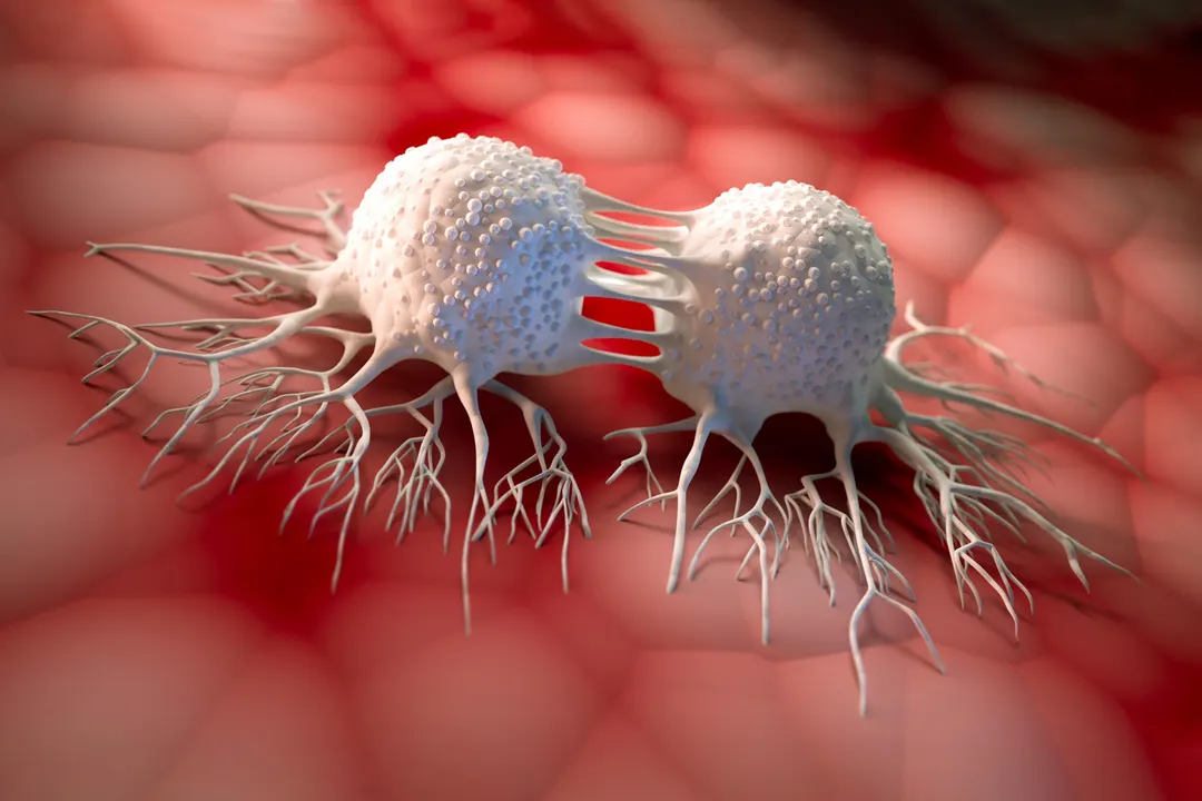 Blocking MYC gene turns aggressive pancreatic cancer cells less aggressive
