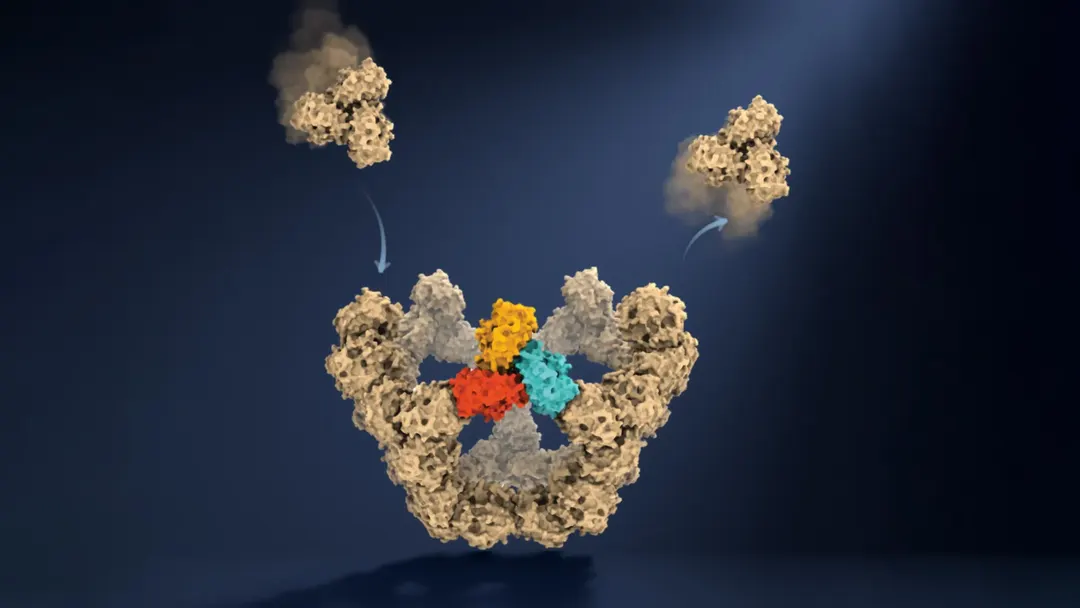 Oxford scientists watch virus particles assemble one molecule at a time