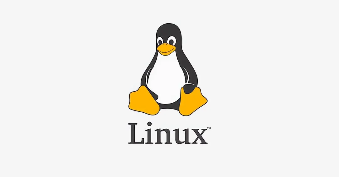 Torvalds removes unsafe __get_user() and __put_user() from the x86 Linux kernel