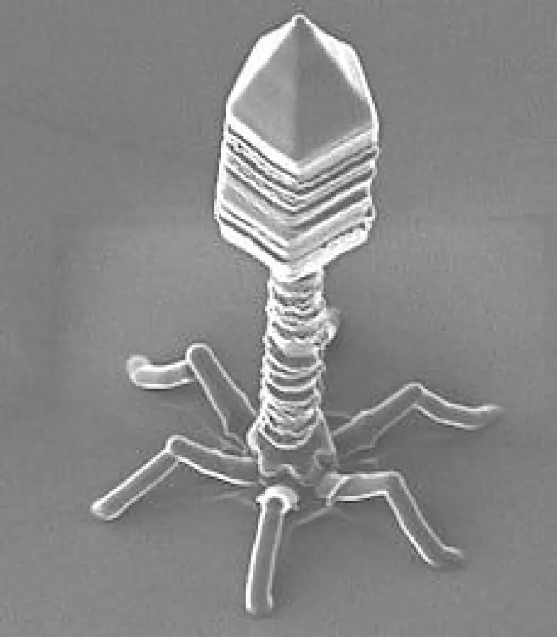 Human receives AI-designed virus for the first time