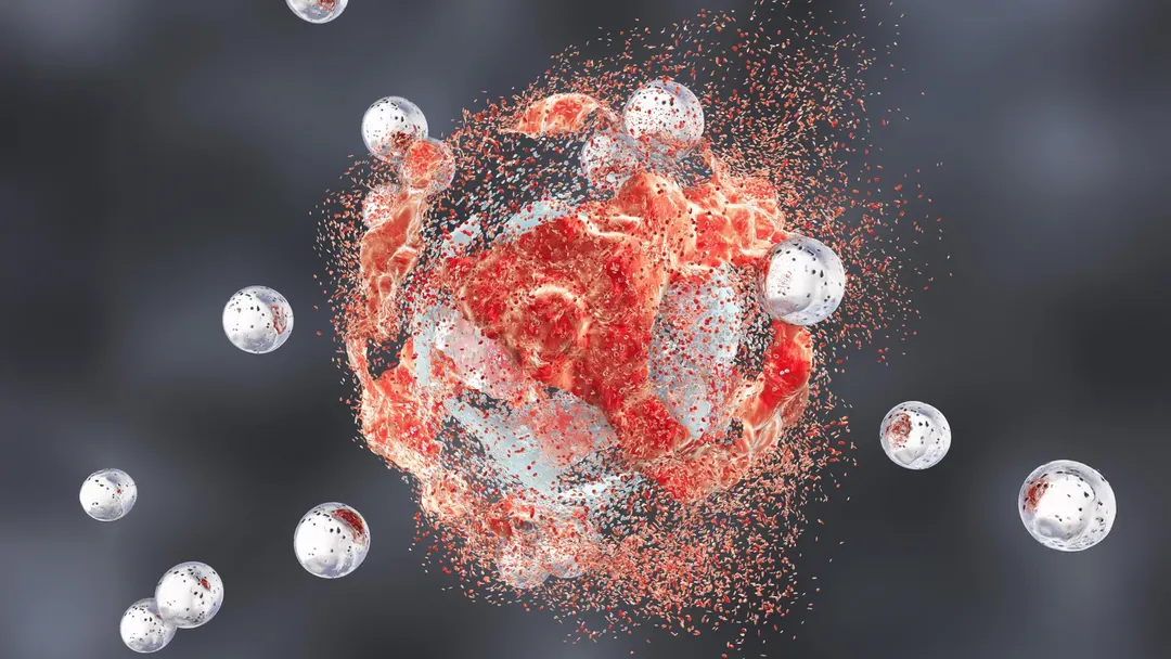 Scientists find gamma delta T cells that attack small cell lung cancer