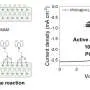 Molecular locking boosts efficiency of scalable organic solar cells