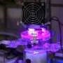 Light-activated carbon nitride photocatalyst triples hydrogen peroxide production efficiency