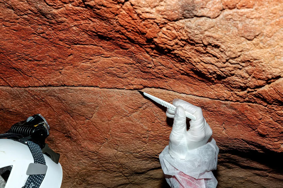 Scientists recover ancient human DNA from cave walls for the first time