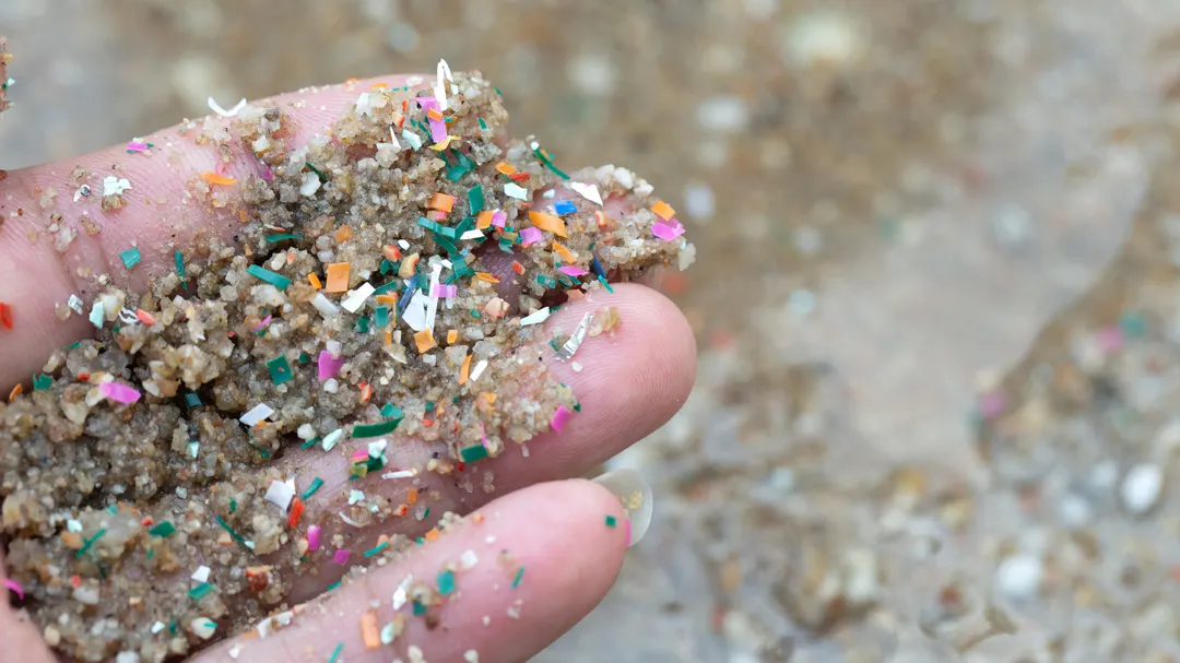 Irish teen invents Eco Purge plastic that degrades and breaks down microplastics