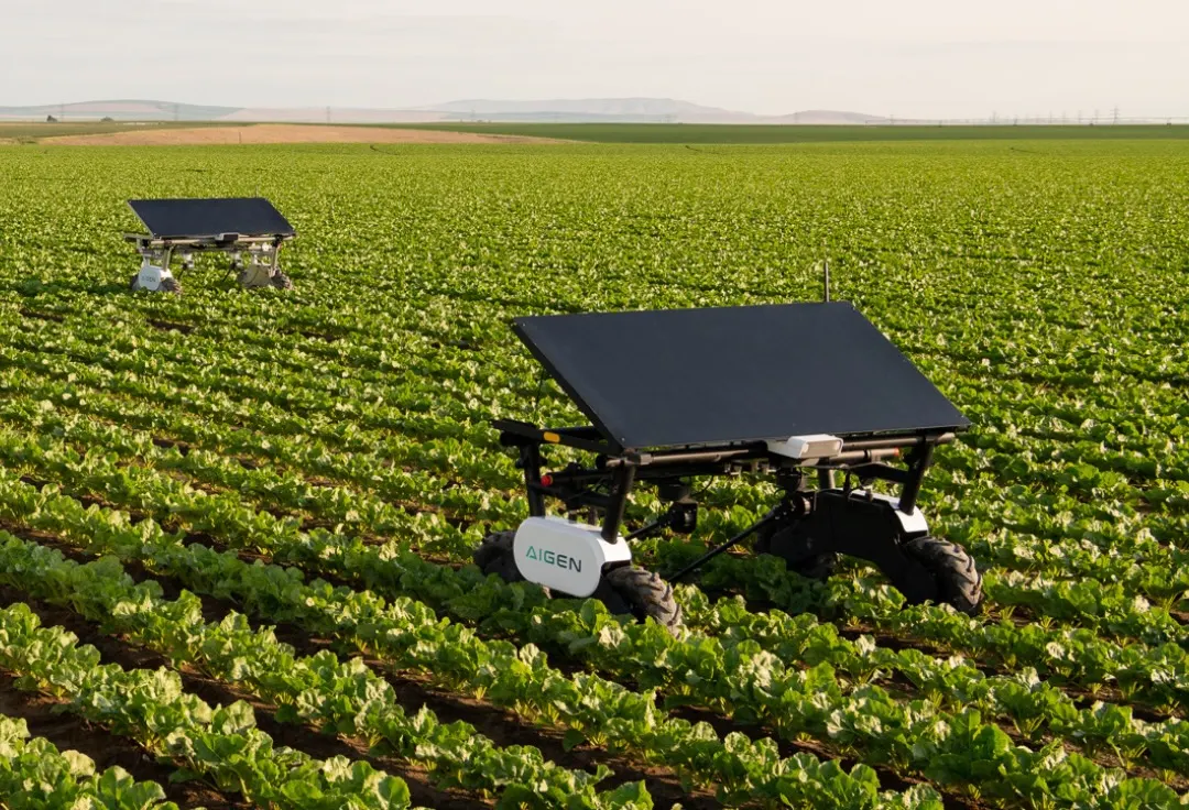 Aigen trains solar farm robots on AI-generated weeds to speed up crop learning