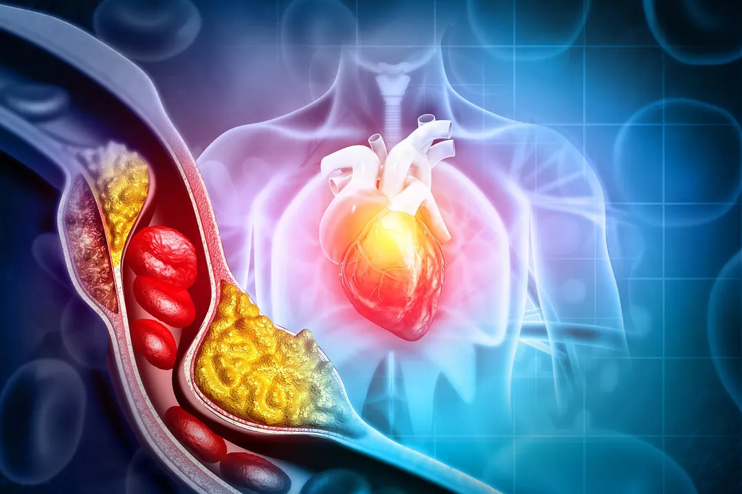 Scientists find Ral–CTSA pathway that lowers cholesterol in mice
