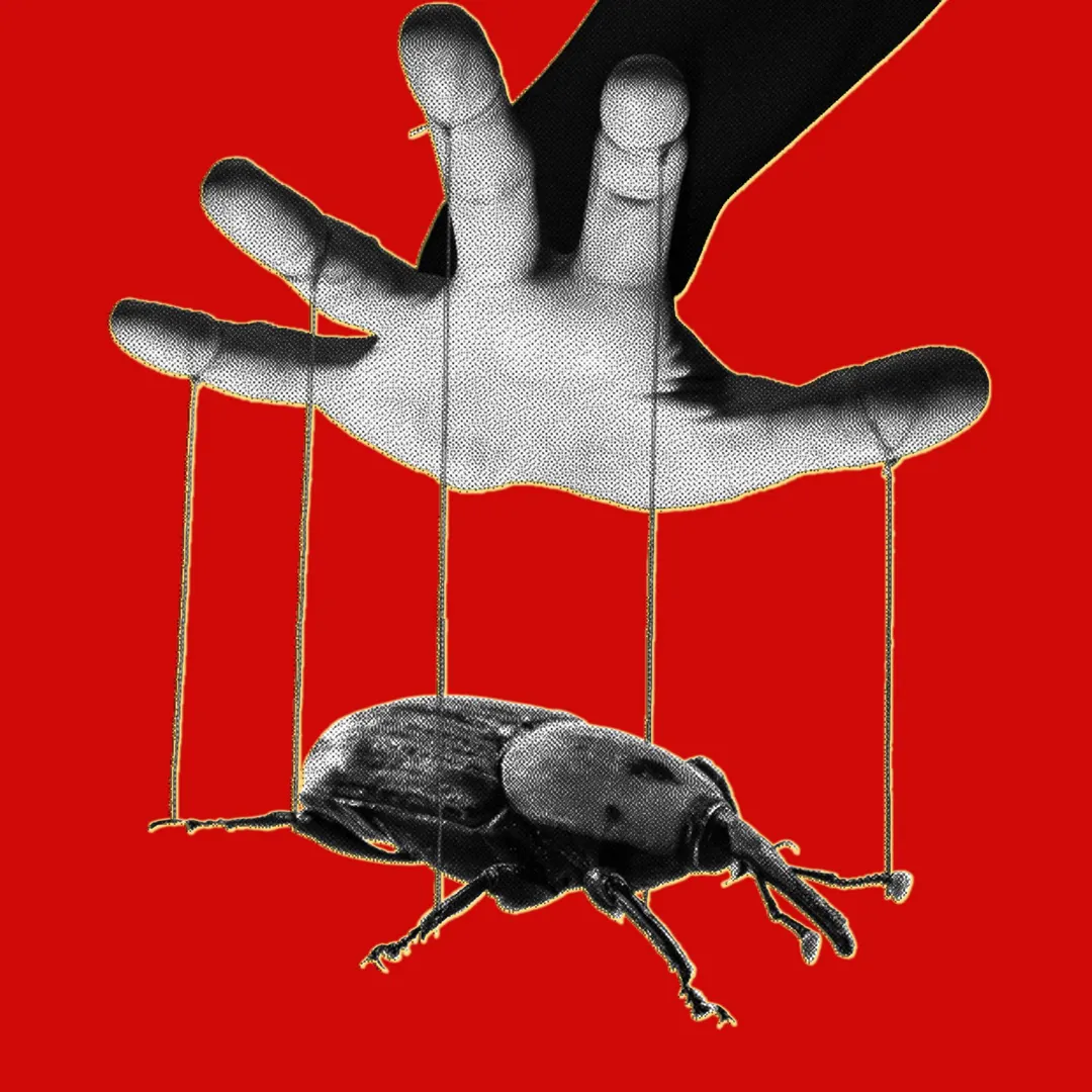 AI turned long-known PHP bugs into a mass exploitation crisis