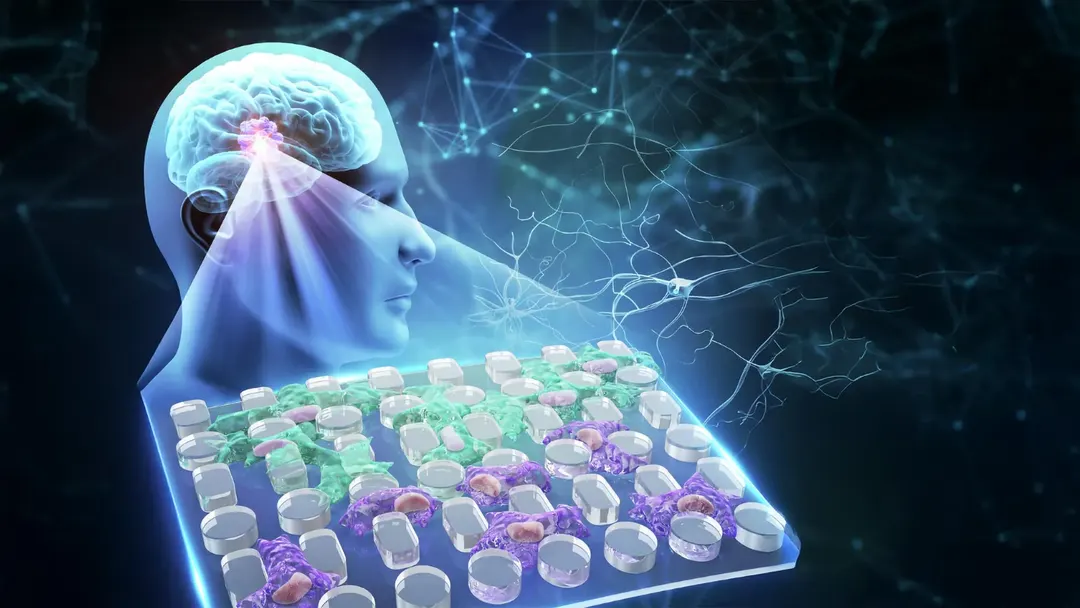 Viscous fluid at tumor edge makes glioblastoma cells more invasive