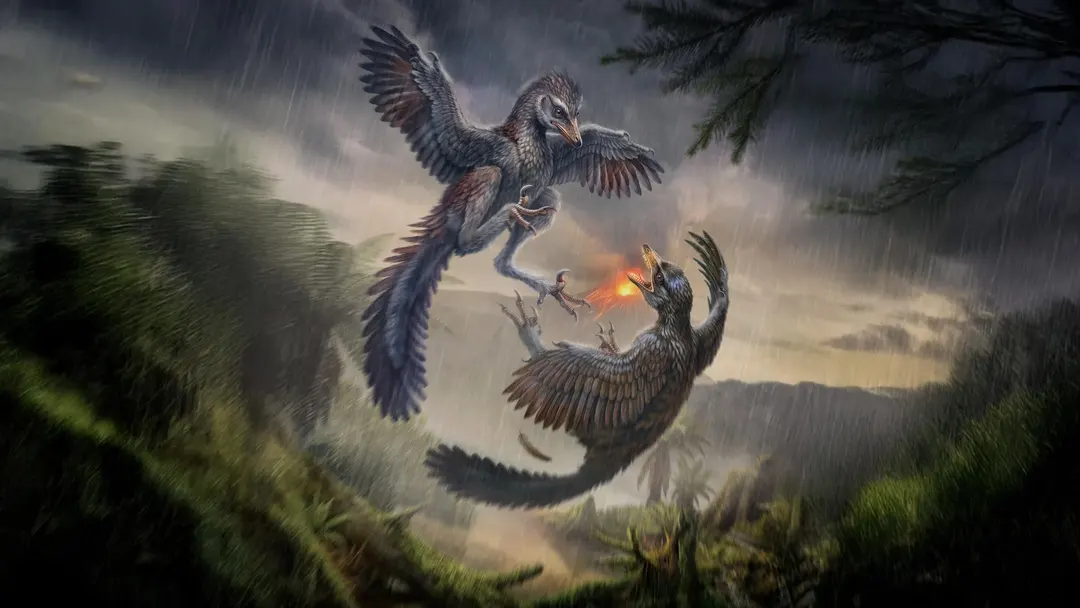 150-million-year-old flightless bird with dinosaur teeth found in China