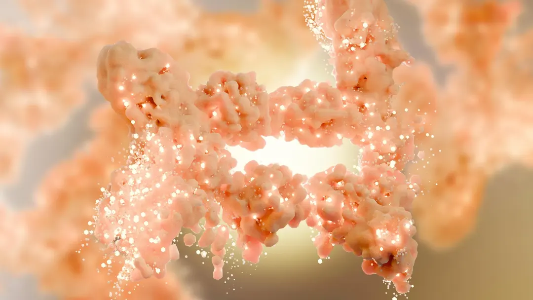 MTCH2 protein switch controls fat burning and fat cell formation