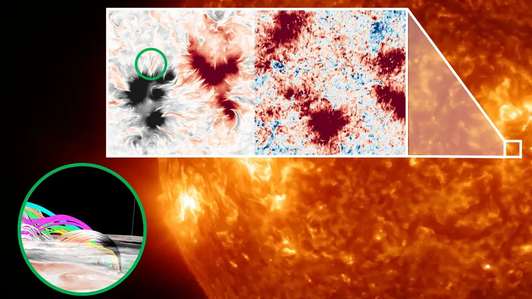 Sunrise-III reveals a magnetic web above the Sun's quiet regions