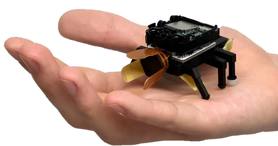 BeetleBot robot uses artificial muscles and two-way feedback