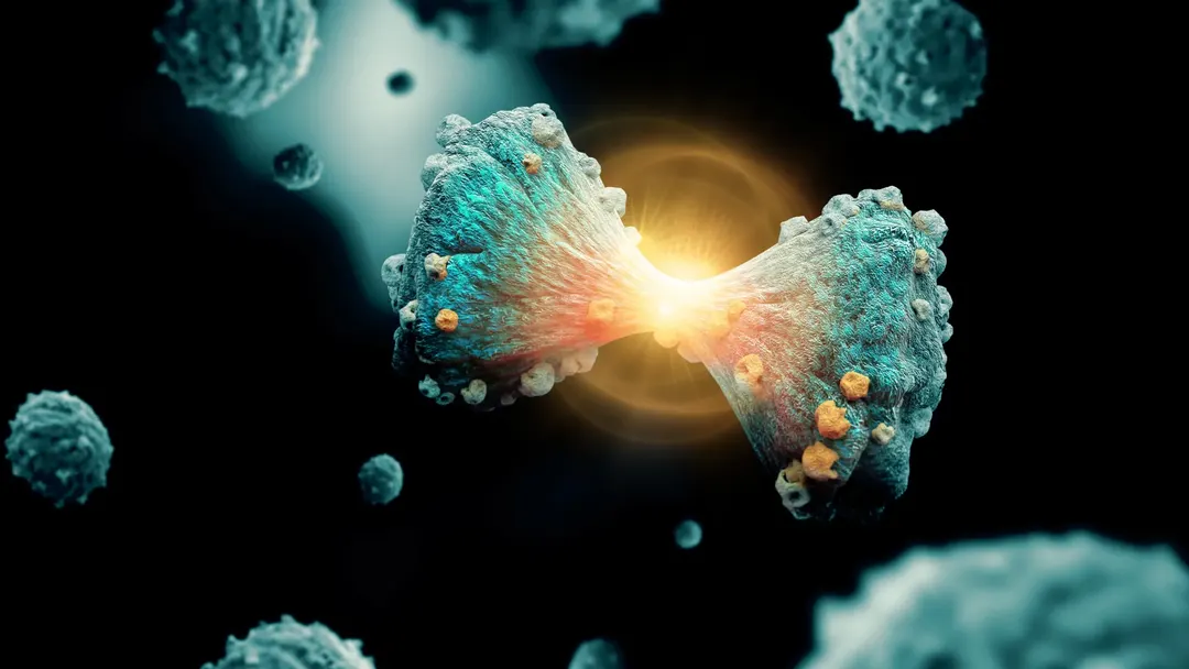 Scientists map how pancreatic cancer rewrites DNA to evade treatment