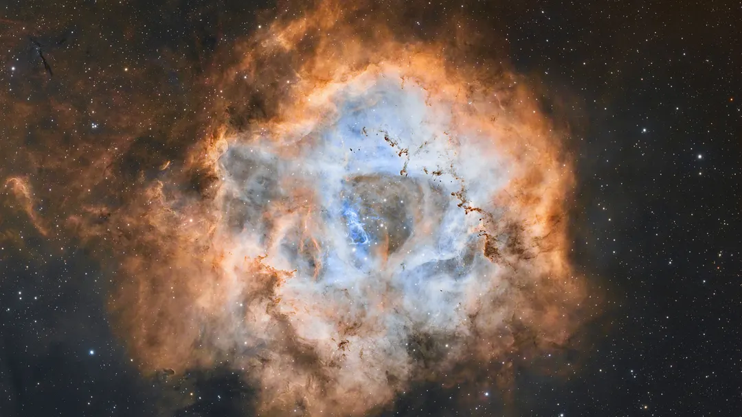 ALMA finds compact massive-star core in the Dragon Cloud