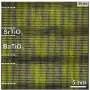 Polar vortices found in lead-free superlattices on silicon