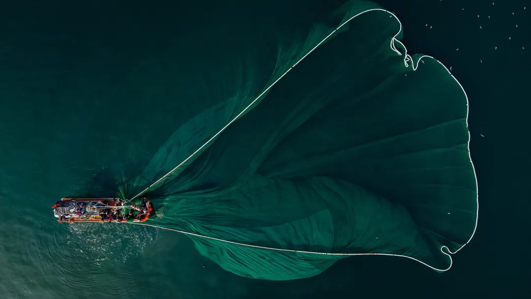 24-satellite constellation could spot illegal fishing off Africa