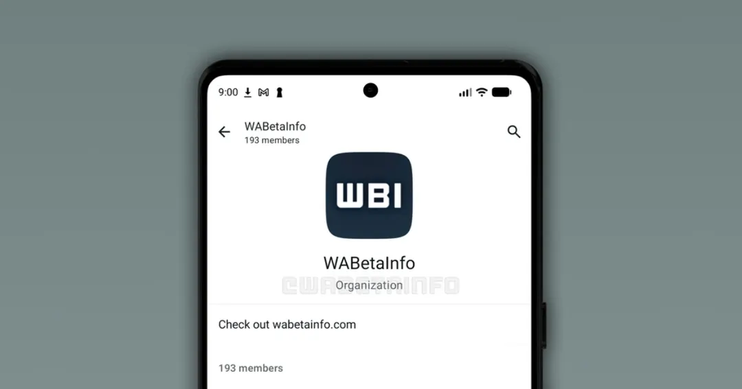 Meta tests Organizations feature for managing large WhatsApp communities