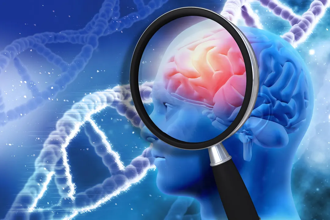 Protective gene Pla2g2f preserved memory in aging mice