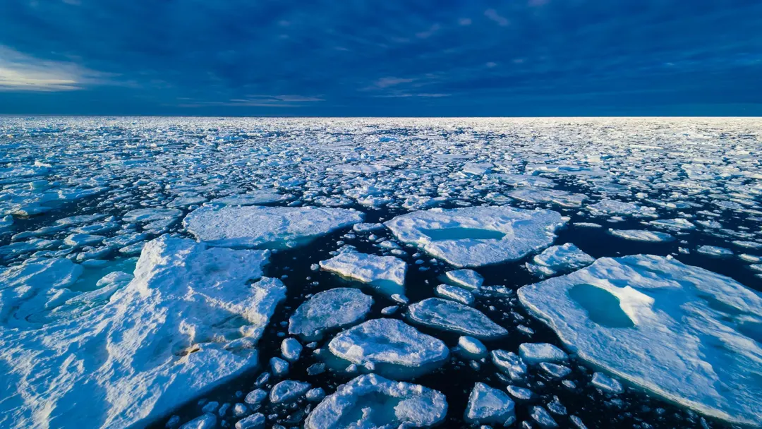 Arctic winter sea ice loss may exceed forecasts by 1 million km²