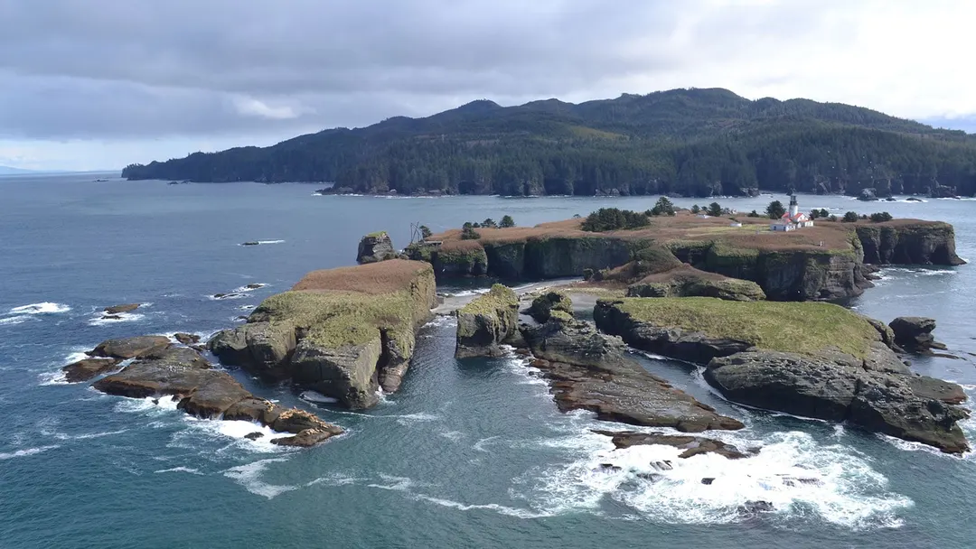 Ocean acidification may starve diatoms of silicon and threaten fisheries