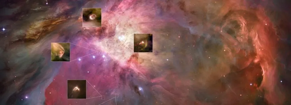 Stellar merger solves the Orion Nebula age paradox