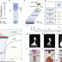 Chinese researchers 3D-print titanium single crystals over a meter long