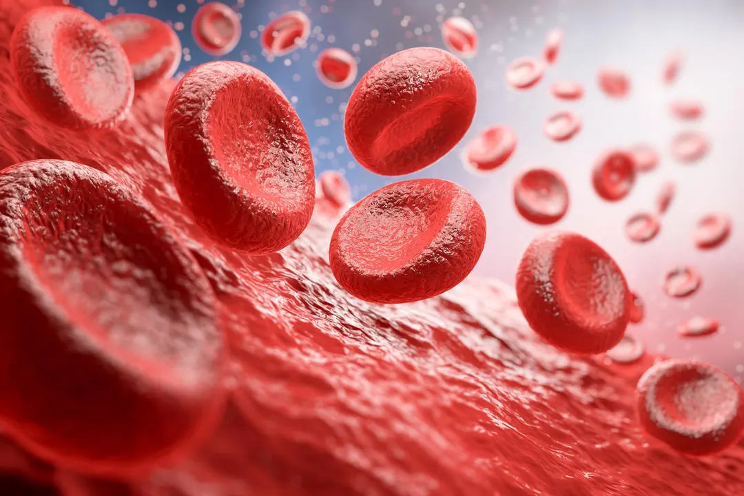 Scientists reverse 60 years of cellular aging, turning 80-year-old cells into 20-year-olds