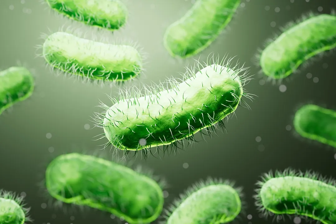 Scientists uncover bizarre bacterial self-destruct switch