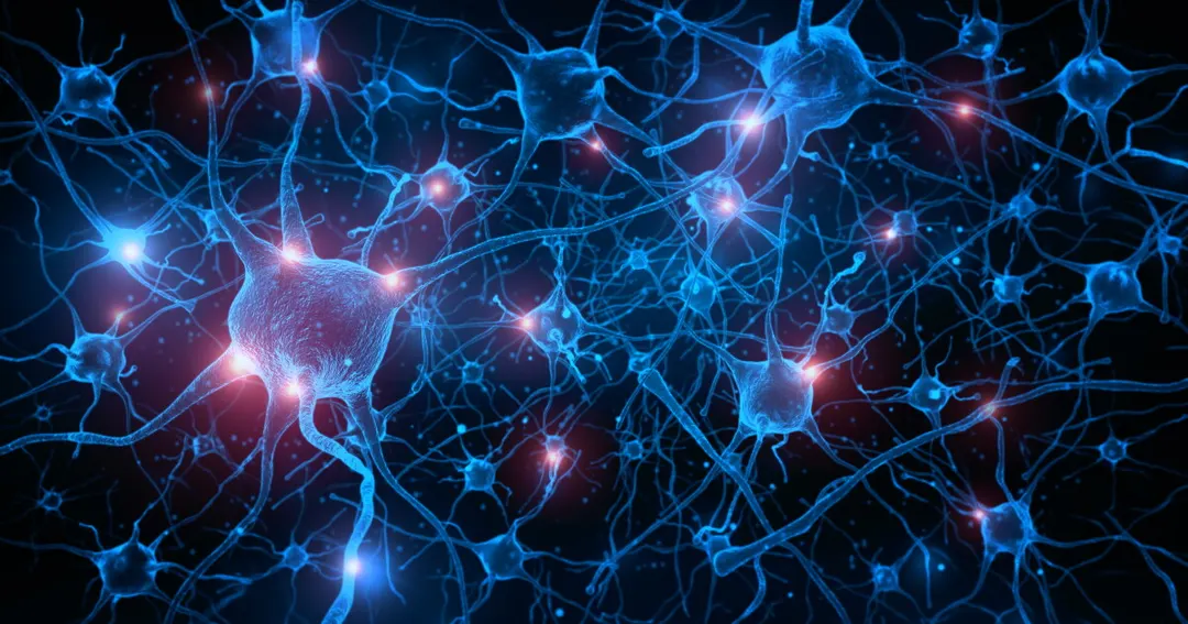Cortical Labs links 15 CL1 biological computers into HIVE network