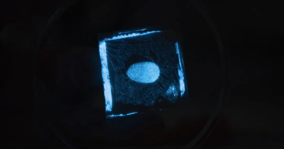 NUS develops eLuminator electronic skin that lights up when touched