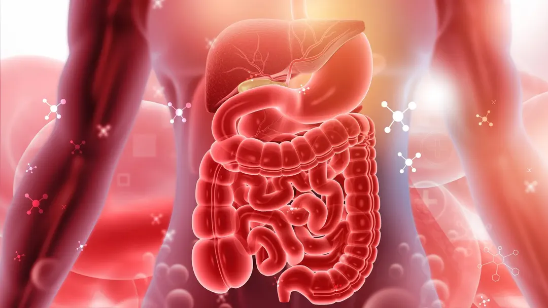 Scientists solve 30-year mystery behind a cause of inflammatory bowel disease